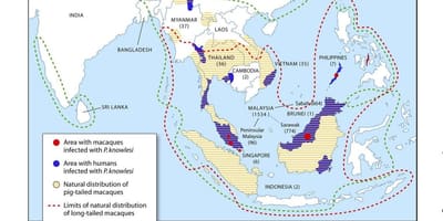 Mapa de malàisia la malària